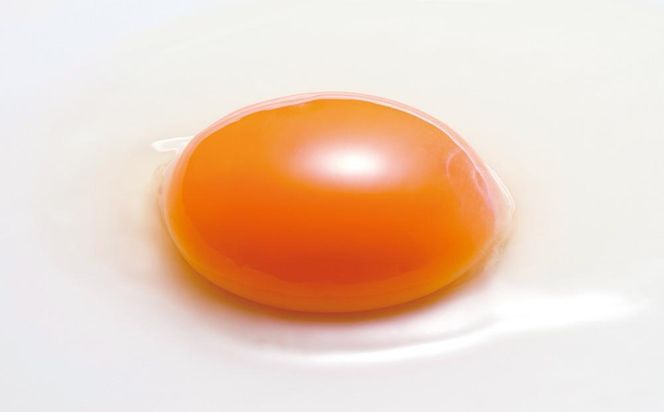 【6か月定期便】日本三大地鶏！！ 「純系　名古屋コーチンの卵」（30個） 本当に美味しい食べ物は調味料の味に負けません！ EE27 air