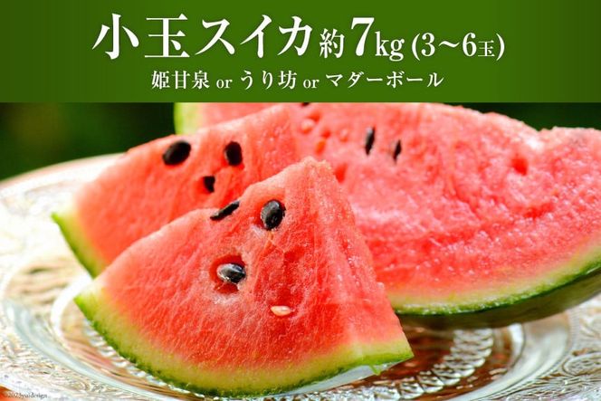 AH006 夏の定番 小玉すいか 約7kg（3～6玉） [ 果物 フルーツ すいか スイカ 古川青果店 長崎県 島原市 ]