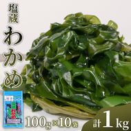 三陸産 塩蔵わかめ 100g×10パック 計1kg 小分け [nomura035]