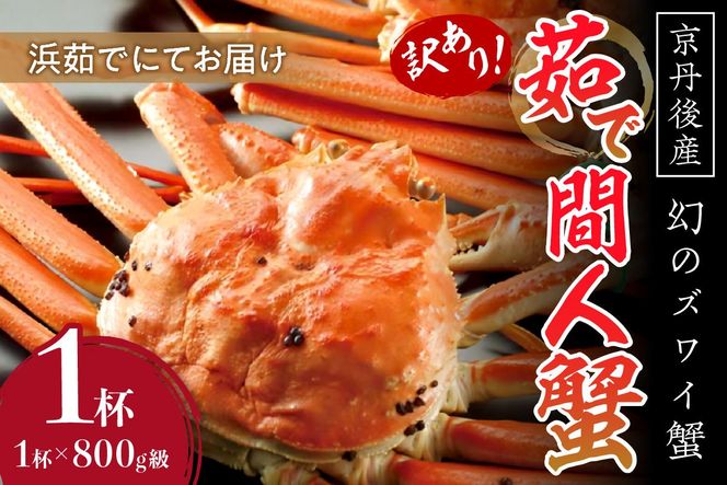 ys{Oszy󂠂IĨYCIz@@OY@䥂ŊԐlI@NxQAl䥂łɂĂ͂II 800gi1{j×1t@YK00070