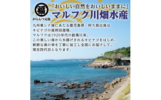 貴美女児一夜干し(計168匹・28匹×6パック)国産 干物 ひもの キビナゴ きびなご 魚介 乾物 おつまみ おかず【マルフク川畑水産】akn029-11