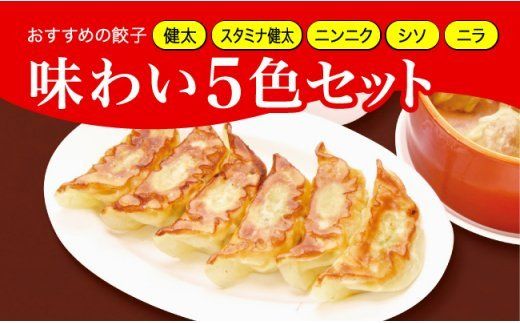 「宇都宮餃子館」健太餃子味わい5色セット(餃子5種) 800g≪ギョーザ 冷凍餃子 冷凍食品 グルメ 食品 惣菜 中華惣菜 点心 中華≫◇