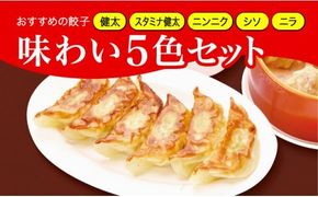 「宇都宮餃子館」健太餃子味わい５色セット（餃子5種）　800ｇ≪ギョーザ 冷凍餃子 冷凍食品 グルメ 食品 惣菜 中華惣菜 点心 中華≫◇