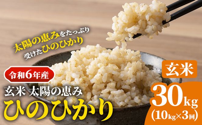 【令和6年産 予約受付】玄米 岡山県産 ひのひかり 笠岡産 30kg(10kg×3回)《10月下旬-9月下旬頃出荷》農事組合法人奥山営農組合 太陽の恵み---O-06_30k_玄米---