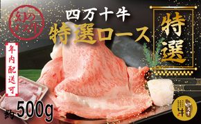 【年内配送】幻のメス牛 四万十牛 特選 ローススライス すき焼き しゃぶしゃぶ 約500g 国産 高知 しまんと 四万十 牧場直売 肉 牛肉 黒毛和牛 特上 ごちそう 宴会 冷凍 ロース リブロース 肩ロース 鍋 ご褒美 ビーフ 25-974N