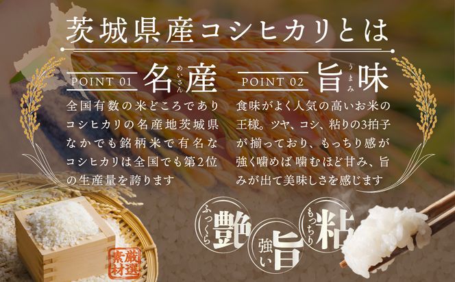 【 お試しサイズ 】 【 お試しサイズ 】 茨城県産 コシヒカリ 300g (300g×1袋) お試し ♪ 2合 五つ星お米マイスター監修 寄附額 1000円 ポッキリ 米 精米 茨城 お米 おこめ ごはん 白米 米 茨城産 こしひかり [DW01-NT]