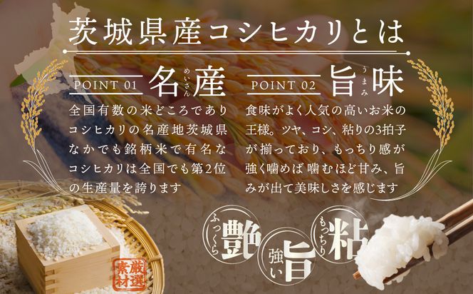 中米 コシヒカリ 20kg （最短 翌日配送 】 茨城県産 コシヒカリ