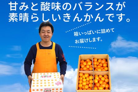 ＜“厳選”完熟きんかん「たまたま」2L×3kg 1箱＞2025年1月下旬～2月下旬迄に順次出荷【c274_mm_x6】