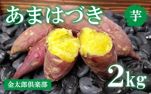 【先行予約】新品種あまはづき（2kg）生芋 サツマイモ さつまいも いも　※2024年9月～12月頃に順次発送予定