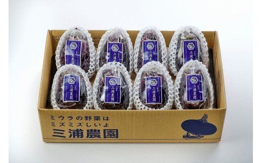 020C066 Premium水なすセット【新鮮 野菜 泉佐野産 茄子 やさい 高評価 数量限定】