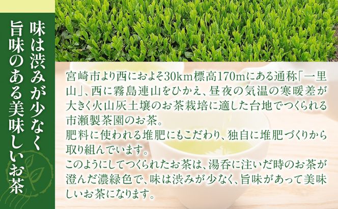 創業明治15年宮崎美老園銘茶詰め合わせAセット(宮崎市高岡町一里山産煎茶)_M303-001