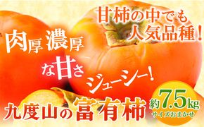 ＜先行予約＞柿 の名産地 九度山の富有柿 約 7.5kg サイズおまかせ 厳選館《2024年11月上旬-12月下旬頃出荷》和歌山県 日高町 柿 カキ フルーツ ジューシー---iwsh_gsk14_ab1112_23_21000_7500g---