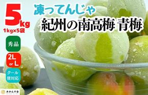 【2026年7月上旬～出荷予定】梅 冷凍 青梅 南高梅 5kg ( 1kg × 5袋) 秀品 2L or Lサイズ 和歌山県産 紀州有田  【みかんの会】AX280
