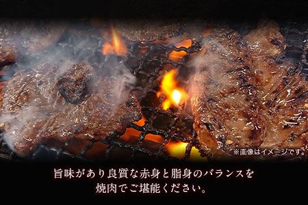 肥後のあか牛（熊本県産）焼肉用1000g 南阿蘇食品 《90日以内に出荷予定(土日祝除く)》 熊本県 南阿蘇村---sms_fmashgyk_90d_24_26000_1kg---