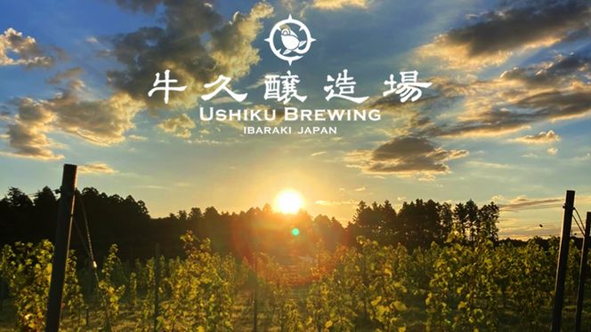 2年連続！《 ジャパン・グレートビア・アワーズ 受賞 》 クラフトビール 2種 計 6本 セット 飲み比べ 茨城県産 牛久醸造場 330ml × 6本 ビール 地ビール クラフト お酒 贈り物 [BJ024us]