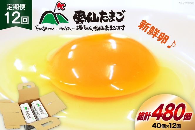 y茧szBI033 12  _傽܂LTCY 40 (10×4pbN) (37{⏞3) [  ܂  { ԗ ʎq VN ˂_傽܂ 茧 s ]