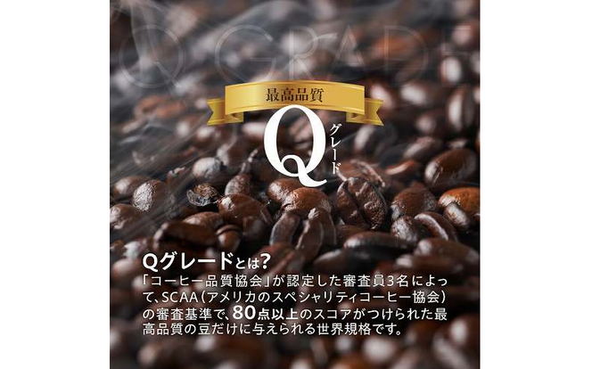 【福箱★2025】【福箱限定セット!!】最高品質 コーヒー豆 Qグレードのドリップバッグコーヒー60パック H046-046