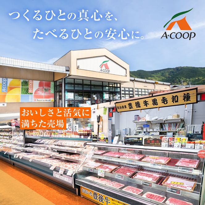  おおいた 豊後牛 サーロイン ステーキ (計400g・200g×2枚) 国産 豊後牛 牛肉 BBQ バーベキュー ステーキ 惣菜 おかず 冷凍 大分県 佐伯市【CQ13】【 (株)Aコープ九州鶴見店】