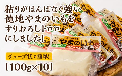 D020 徳地やまのいものすりおろしトロロ　100g×10個