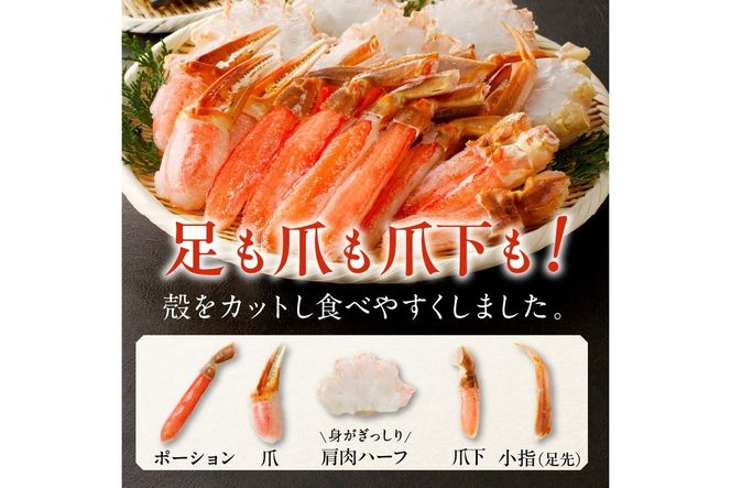 北見市加工 生冷本ズワイガニセット 1kg 昆布入り ( 蟹 かに 魚介類 カニ鍋 ズワイガニ ふるさと納税 贈答 熨斗 )【094-0052】