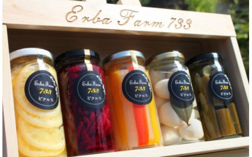 【農家こだわりの 野菜 使用】 ピクルス + 京築ヒノキ イーゼル セット《築上町》【ERBA　FARM733】[ABAP005]