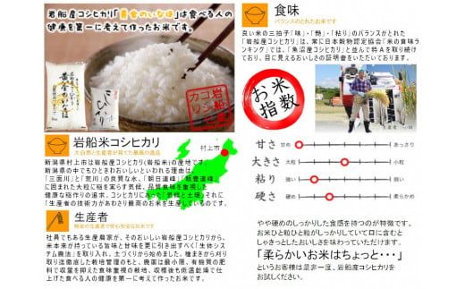 【新米受付・令和6年産米】 自然豊かな風土が育んだ新潟県岩船産コシヒカリ50kg　1017001N