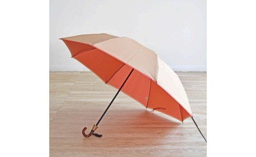 yRsszBL005yʌzˁ@܂肽ݎP@55cm@8{(x[W×sN)