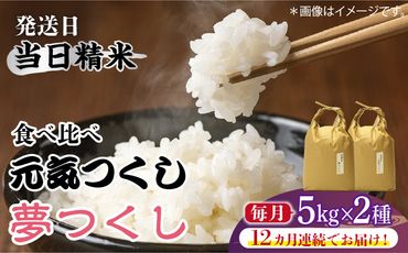 【先行予約】【全12回定期便】福岡県産【特A米】元気つくし【A米】夢つくしの食べ比べ 各5kg×2袋 [10kg] [白米]《築上町》【2024年11月下旬以降順次発送】【株式会社ベネフィス】[ABDF126]