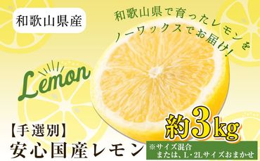 和歌山県産の 安心 国産 レモン 約 3kg (サイズ混合またはL・2Lサイズおまかせ) 厳選館 [12月上旬-2月上旬頃出荷] 和歌山県 日高町 レモン 柑橘 果物 フルーツ 送料無料---wsh_genkle1_ad122_22_13000_3kg---