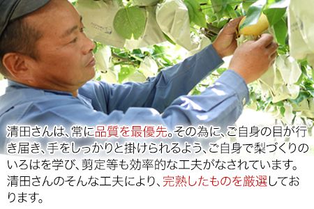 【日付指定不可】『清田果樹園』の原倉梨 約5kg 《9月上旬-10月上旬頃出荷》6-14玉前後 新高梨 新興梨 あきづき 豊水梨 熊本県玉名郡玉東町 梨【ふるさと納税】---sg_ckiyotanashi_ad9_r8_14000_5kg---