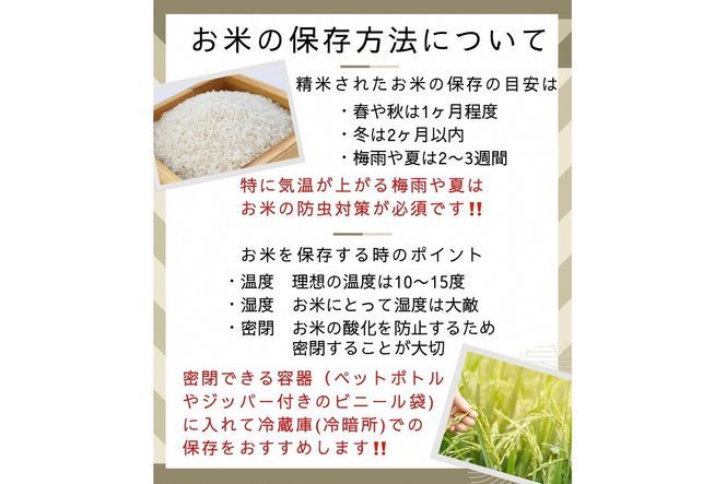 【定期便】令和6年産 新米 先行予約 訳あり 京都丹波米10kg(こしひかり5kg・きぬひかり5kg)×6回 計60kg 6ヶ月定期便 米 白米 6回定期便 コシヒカリ・キヌヒカリ 各5kg ※精米したてをお届け｜食べ比べ 緊急支援 米・食味鑑定士厳選 特Ａ※北海道・沖縄・離島への配送不可※2024年9月上旬以降順次発送予定