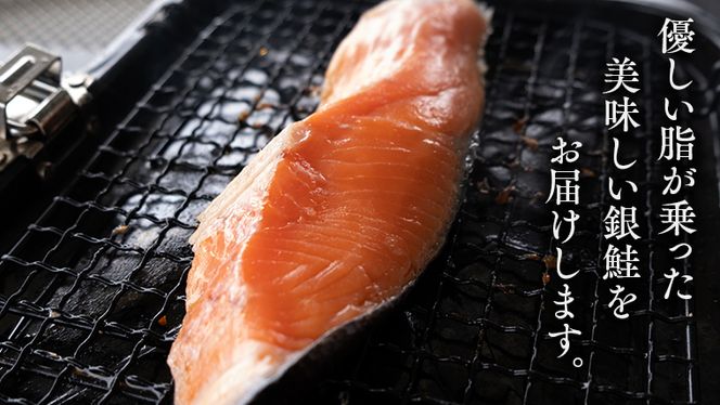 ナッキー　厚切り胸肉　ホルバー　鮭 厚切り 銀鮭 の 切り身 【 半尾 】約 1kg （ 8切 ～ 10切 ） 鮭