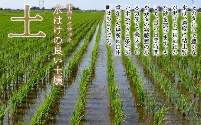 【令和6年産新米】「幻の米」山梨県北杜市産白州よんぱち米（白米）10kg FCW005