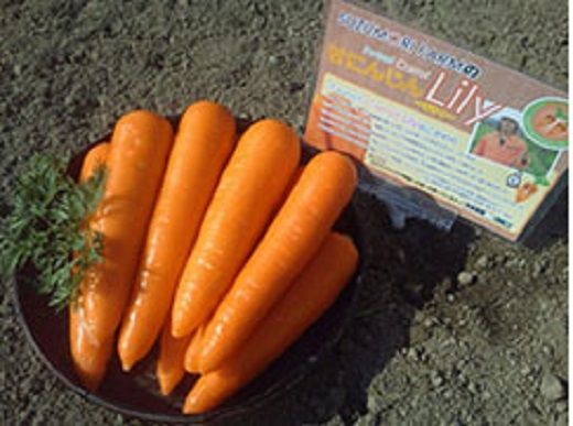 【期間限定】鈴盛農園の甘～いにんじん　『スウィートキャロットリリィ』 人参 甘い ジュース サラダ スムージー ジューシー H022-013