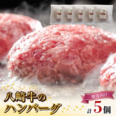 八崎牛のハンバーグ 120g×5個【贈答向け】 N0105-ZA596