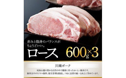 川南ポークロースブロック1.8ｋｇ 【 豚肉 肉 ロース ブロック 送料無料 】 [E5003]