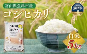 【令和7年度米】富山県 うおづ産米「コシヒカリ」5kg（精米）｜こしひかり こめ コメ お米 おこめ 白米 精米 雪解け水 香り うまみ あまみ 冷めても 美味しい おにぎり お弁当 高品質 魚津市 ※北海道・沖縄・離島への配送不可 ※2025年10月上旬～2026年8月下旬頃に順次発送予定