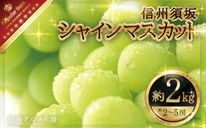 シャインマスカット 約2kg (約2～5房)《信州グルメ市場》■2025年発送■※9月上旬頃～10月下旬頃まで順次発送予定