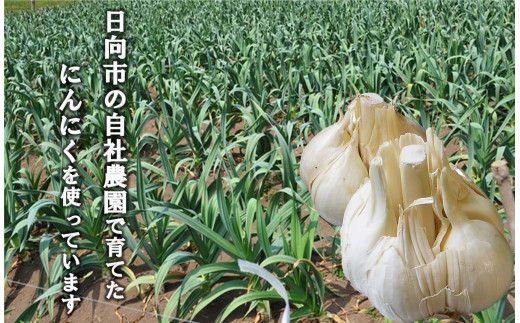 【定期便 3回】 サプリメント にんにく卵黄 純力 サプリメント 35粒×4袋×3回 (約1年分) [食匠倶楽部MIYAZAKI 宮崎県 日向市 452061458] サプリ カプセル 国産 にんにく