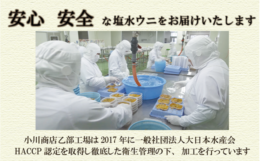 ＜小川の塩水ウニ　100g×2パック＞北海道 北海道産 道産 雲丹 ウニ うに 塩水うに 工場発送