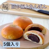 匠の極上あんぱん(5個入り)《 あんパン パン 粒あん 冷凍 個包装 小分け 》【2400I05945】