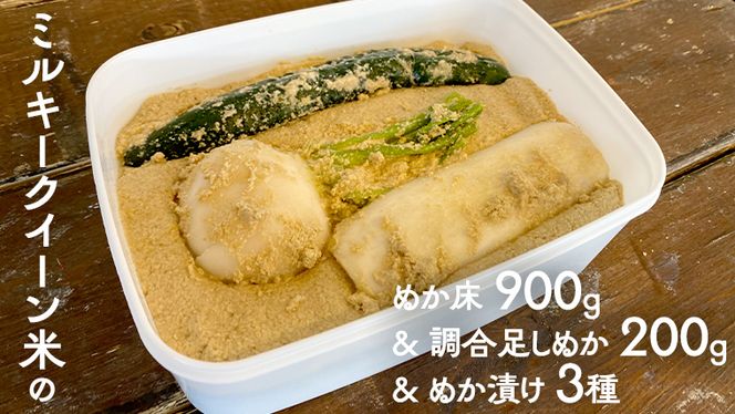 ミルキークイーン米 ぬか床  900g & 調合足しぬか200g & ぬか漬け 3種 セット 米 お米 コメ こめ ミルキークイーン ぬか漬け ぬか ぬかどこ 野菜 [BJ009ci]