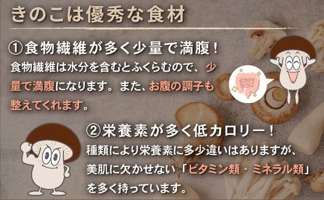 干し椎茸 10袋 計300g ｜ しいたけ 国産 菌床 ドライ 野菜 旬 きのこ キノコ 数量限定 高知県 室戸市　　nc004