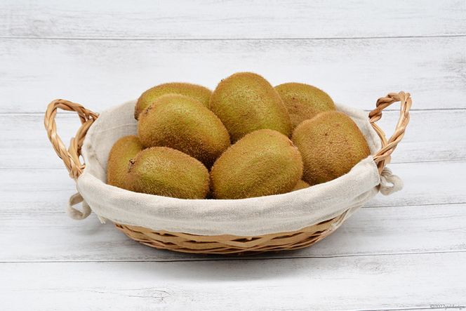 AG077【令和7年度出荷分】 数量限定 しまばら グリーンキウイ 約2kg