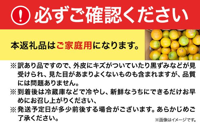 【ご家庭用訳あり】【先行予約】希少な国産バレンシアオレンジ 約7kg 株式会社魚鶴商店《2026年6月下旬-7月上旬頃出荷》和歌山県 日高町---wsh_uot152_6g7j_25_16000_7kg---