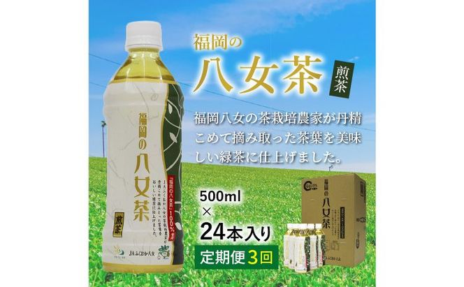 【D5-029】八女茶 煎茶ペットボトル 500ml×24本 【3カ月定期便】