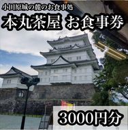 194-2637　小田原城の麓のご飯屋さん　本丸茶屋御食事券 3000円分【 お食事券 神奈川県 小田原市 】