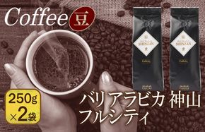 099H1850 バリアラビカ神山フルシティ　250g×2袋／豆 【珈琲 こーひー コーヒー 自家焙煎 オリジナル ギフト キャンプ アウトドア 家計応援】