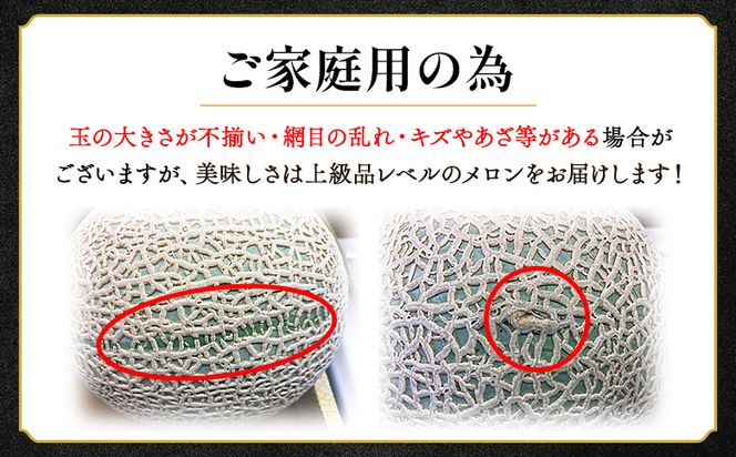 一果相伝マスクメロン家庭用 3玉入り - 果物 くだもの フルーツ めろん 青肉 デザート スイーツ ご自宅用 ジューシー 果汁 芳醇 幸せ 至福 美味しい 甘い あまい 篤農 tn-0029