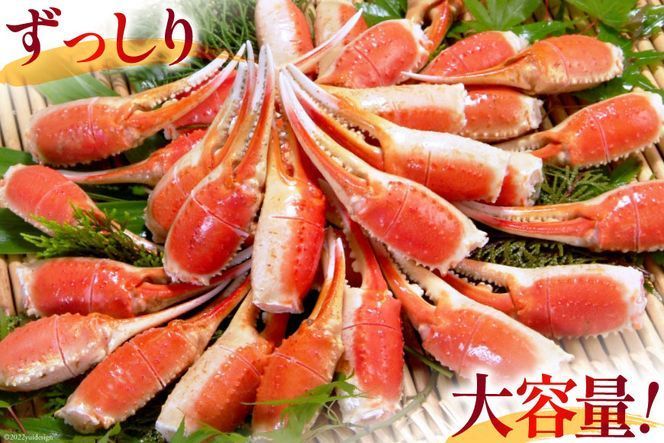 【年内配送 12/15まで受付】リピーター続出！ 本ずわいがに爪 約700g 蟹 かに カニ ずわいがに ズワイガニ ずわい蟹 ズワイ蟹 ずわい ズワイ 蟹 カニ爪 蟹爪 カニ爪肉 つめ 爪 ボイル [カネダイ 宮城県 気仙沼市 20564321_CF02]